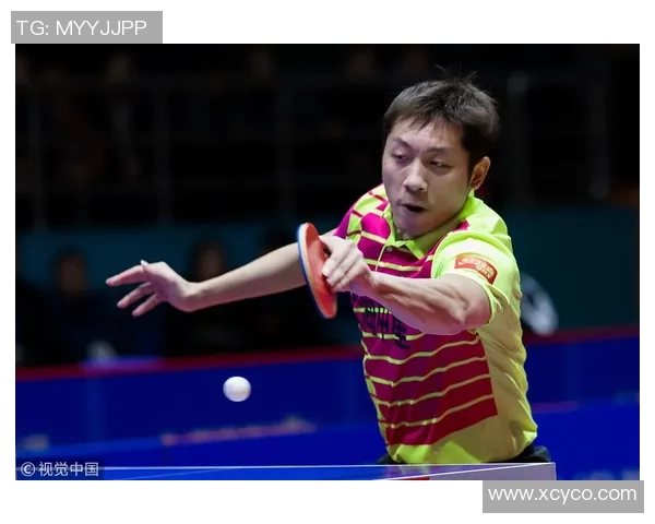 上海羽毛球队在城市联赛中以73分稳居积分榜首位展现强劲实力